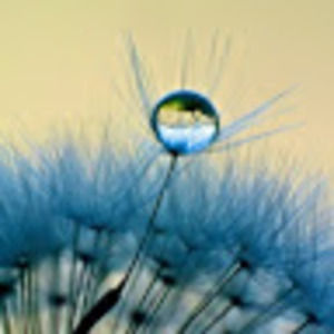 Meet your Posher, Kingaj1970